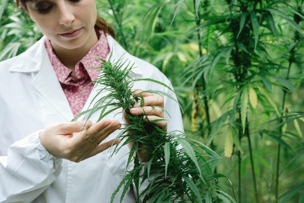Cannabis Health Masterclass Navigating Specific Conditions
